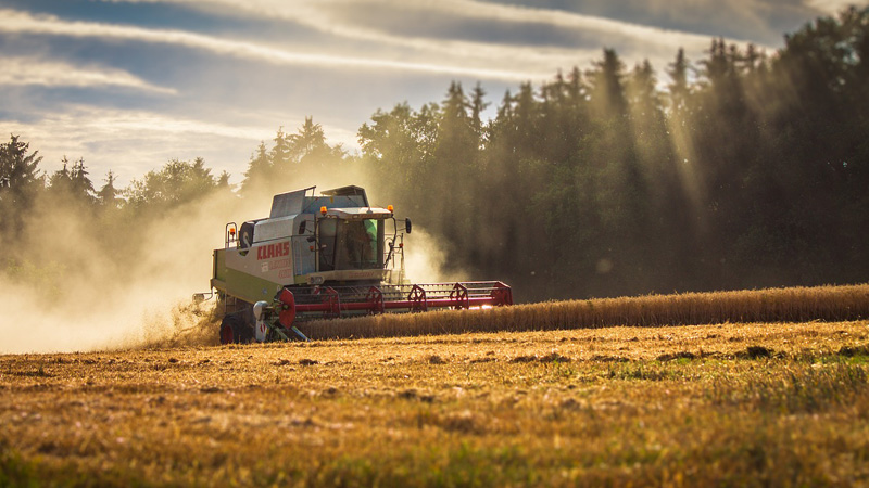 Landwirtschaft Landwirtschaft